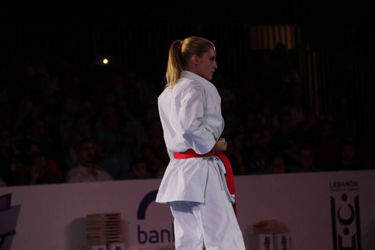 Martial Arts Festival